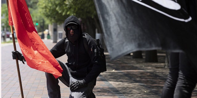 Anti-fascist protesters hold flags on the Christian Science Plaza, Saturday, July 11, 2020, in Boston. (AP Photo/Michael Dwyer)
