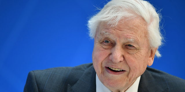 Broadcaster and naturalist David Attenborough visited the royal family for a screening of the documentary 'David Attenborough: A Life on Our Planet.' (Photo by MANDEL NGAN / AFP) (Photo credit should read MANDEL NGAN/AFP via Getty Images)