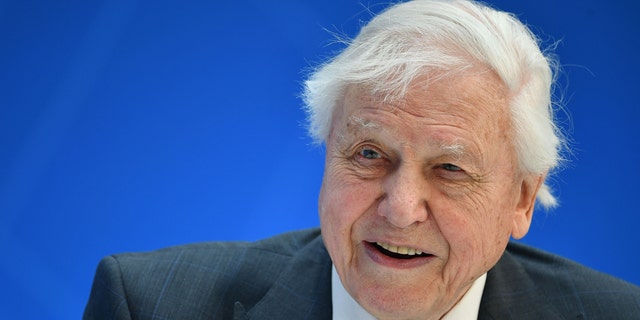 Broadcaster and naturalist David Attenborough visited the royal family for a screening of the documentary 'David Attenborough: A Life on Our Planet.' (Photo by MANDEL NGAN / AFP) (Photo credit should read MANDEL NGAN/AFP via Getty Images)
