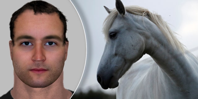 Police have released a composite sketch of one of the suspects wanted in the killing and maiming of horses in France