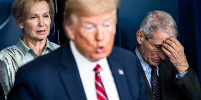 Drs. Deborah Birx and Anthony Fauci listen as President Donald Trump speaks during a briefing on the coronavirus pandemic at the White House, March 20, 2020. (Jabin Botsford/The Washington Post via Getty Images)