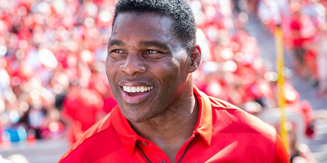 Georgia alum Herschel Walker on the sidelines during a game between Murray State Racers and University of Georgia Bulldogs at Sanford Stadium on Sept. 7, 2019 in Athens, Georgia. (Photo by Steve Limentani/ISI Photos/Getty Images)