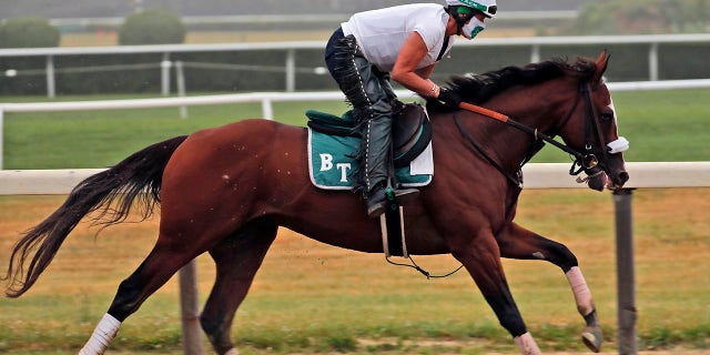FILE - June 19, 2020: Robin Smullen rides Tiz the Law during a workout at Belmont Park in Elmont, N.Y., Belmont Stakes winner Tiz the Law is the 3-5 morning-line favorite for the 146th Kentucky Derby and will attempt to become the first winner from the No. 17 post position drawn for Saturday's rescheduled marquee race for 3-year-olds. (AP Photo/Seth Wenig)