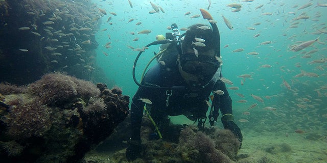 A diver explores the wreck.