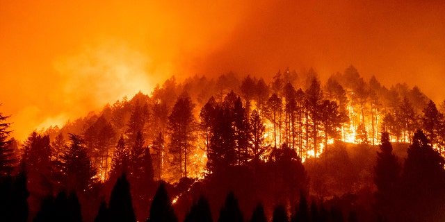 The Glass Fire burns a hillside above Silverado Trail in St. Helena, Calif., on Sunday, Sept. 27, 2020.