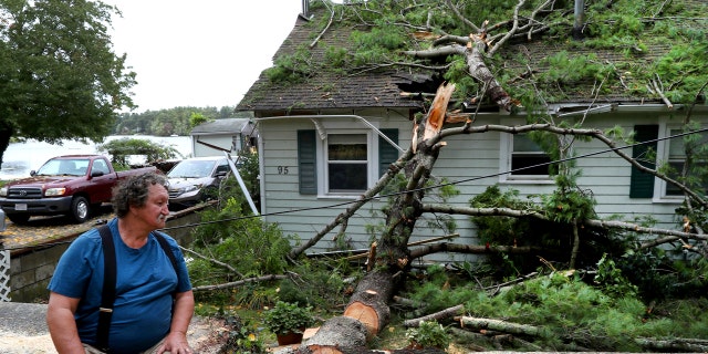 David Haigh looks at a large tree fell fell on his home on in Pembroke, Mass on Wednesday, Sett. 30, 2020 after a storm passed the area.