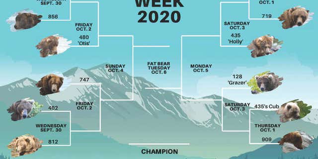 Katmai National Park and Preserve's "Fat Bear Week" kicks off in September 2020.