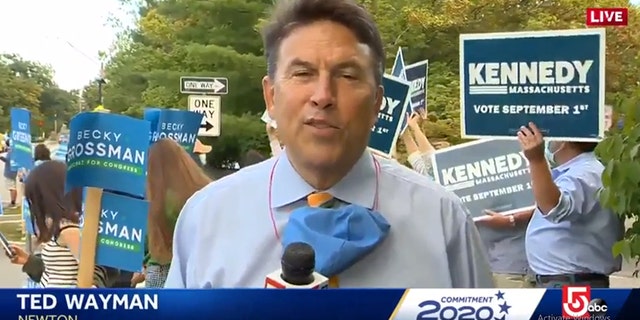 Ted Wayman (WCVB-TV)
