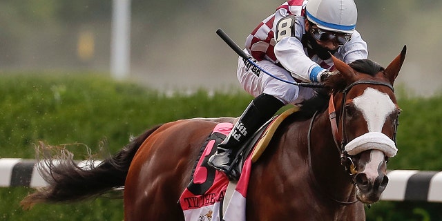 Tiz the Law is the favorite to win the Derby. (AP Photo/Seth Wenig, File)