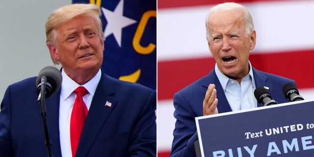 Joe Biden's website outlines positions that would add significant amounts of regulation and oversight on guns while President Trump has repeatedly said he is a supporter of the Second Amendment. (Getty)