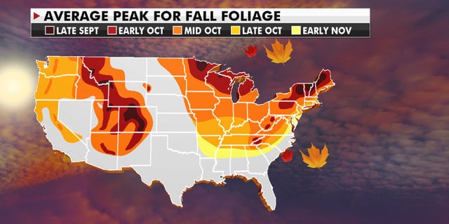 The average peak for fall season.