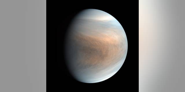 Sintetizirana lažna barvna slika Venere z uporabo 283-nm in 365-nm pasovnih slik, ki jih je posnel Venus Ultraviolet Imager (UVI).
