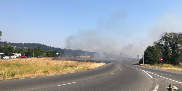 A man was arrested in Puyallup, Wash. on Wednesday after he was caught setting a fire in the median of a state highway.