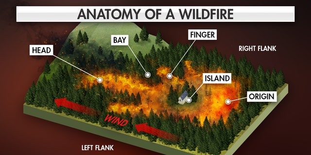 Devastating Wildfire Anatomy Explained Fox News 4263