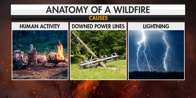 Causes of wildfires. (Fox News)
