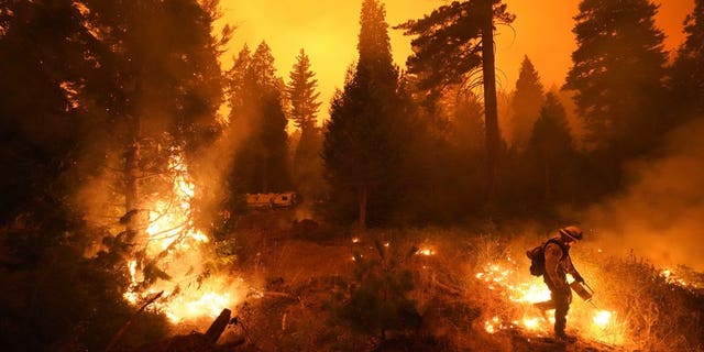 FILE - In this Sept. 6, 2020, file photo, firefighter Ricardo Gomez, of a San Benito Monterey Cal Fire crew, sets a controlled burn with a drip torch while fighting the Creek Fire in Shaver Lake, Calif. Two unusual weather phenomena combined to create some of the most destructive wildfires the West Coast states have seen in modern times. (AP Photo/Marcio Jose Sanchez, File)