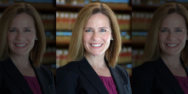 Judge Amy Coney Barrett is seen in a 2017 photo. (University of Notre Dame Law School via The Associated Press)