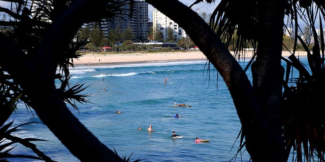 Surfers wade in the water waiting for waves off the Southern Gold Coast area of Greenmount Beach, Gold Coast, Friday, Dec. 15, 2017. A shark fatally mauled a man on Tuesday on Australia’s Gold Coast city tourist strip, an official said. (David Clark/AAP via AP)