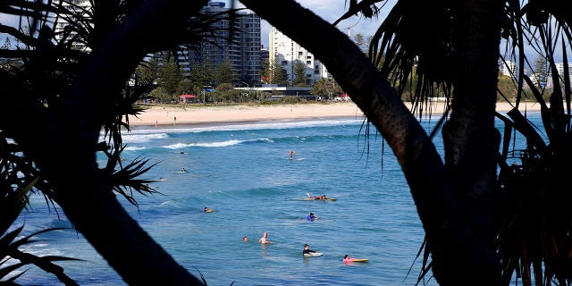 Surfers wade in the water waiting for waves off the Southern Gold Coast area of Greenmount Beach, Gold Coast, Friday, Dec. 15, 2017. A shark fatally mauled a man on Tuesday on Australia’s Gold Coast city tourist strip, an official said. (David Clark/AAP via AP)