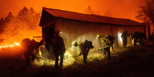 A handcrew clears the vegetation around a barn while the bear fire - which is now part of the North Complex fire - burns through the Berry Creek area of Butte County, California on Wednesday. (AP)