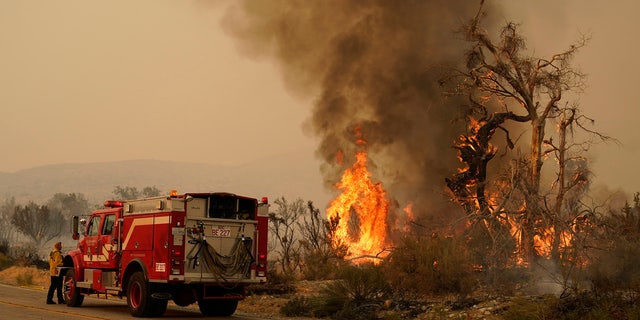 A San Bernardino County Fire Department member keeps an eye on a flareup from the Bobcat Fire on Saturday, Sept. 19, 2020, in Valyermo, Calif.