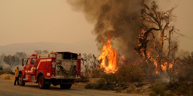 A San Bernardino County Fire Department member keeps an eye on a flareup from the Bobcat Fire on Saturday, Sept. 19, 2020, in Valyermo, Calif.