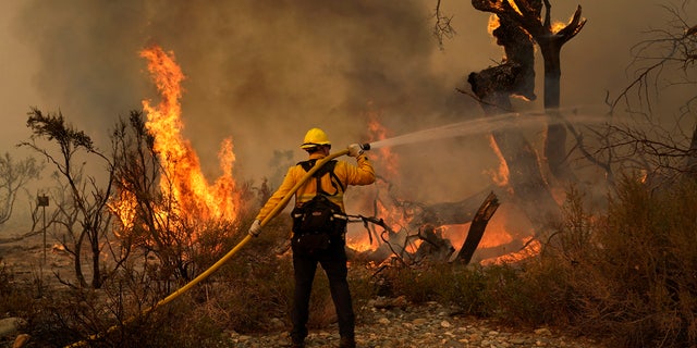 Jesse Vasquez, of the San Bernardino County Fire Department, hoses down hot spots from the Bobcat Fire on Saturday, Sept. 19, 2020, in Valyermo, Calif.