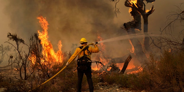 Jesse Vasquez, of the San Bernardino County Fire Department, hoses down hot spots from the Bobcat Fire on Saturday, Sept. 19, 2020, in Valyermo, Calif.