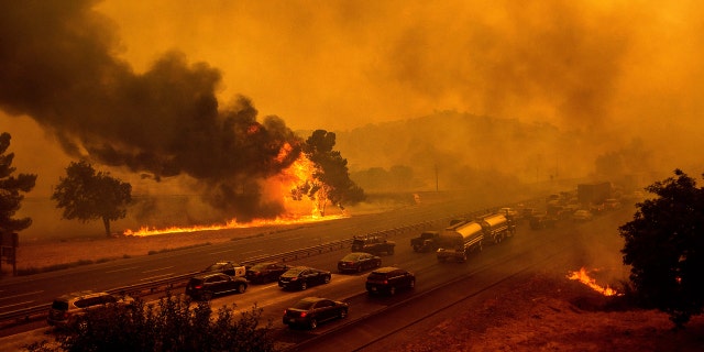 In this Wednesday, Aug. 19, 2020, file photo, flames from the LNU Lightning Complex fires jump Interstate 80 in Vacaville, Calif.