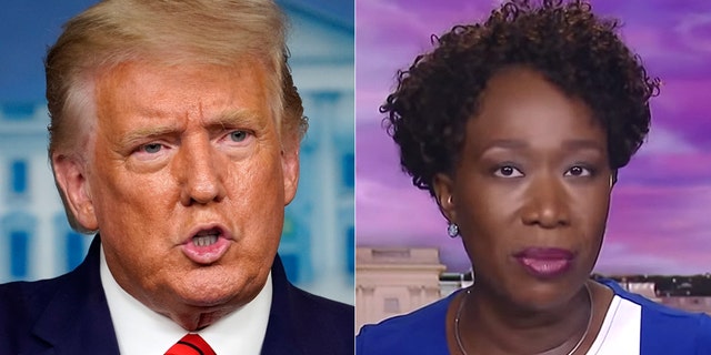 President Trump called on MSNBC to fire host Joy Reid.
