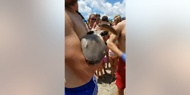 The beachgoer claims he hadn't harassed or tried to attract the shark when he visited the beach that day. “I just wanted to play volleyball today, OK?”