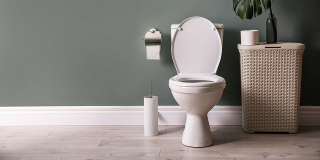 Pedestal toilets were reportedly invented in 19th century England. The style is commonly used in most of the Western world.