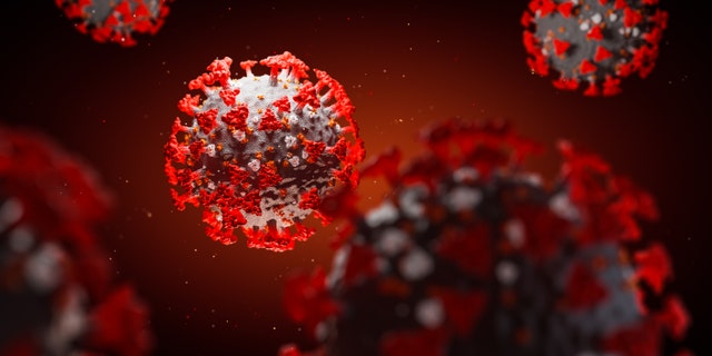 Scientists discovered the lineage responsible for producing the virus that created the COVID-19 pandemic has been present in bats, according to the study.