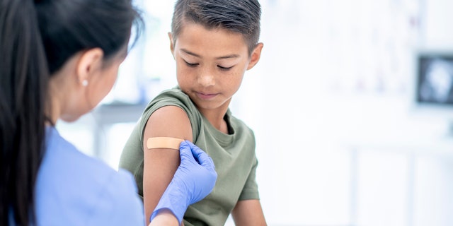 Several spokespeople for a number of companies leading coronavirus vaccine trials told Fox News that plans with pediatric vaccination trials will advance after safety and efficacy data is confirmed among adults (iStock).