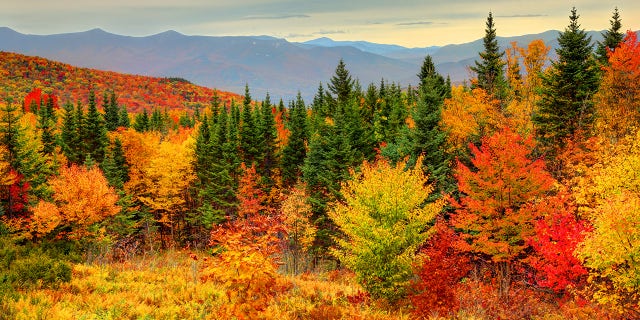 Peak fall foliage in New Hampshire's White Mountains