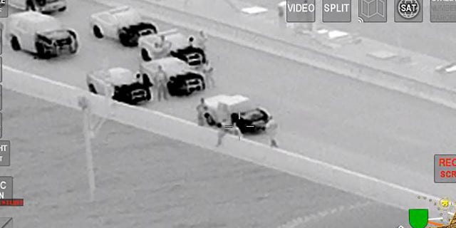 Ackerman and a second deputy made their way behind the driver and pulled him down while he was speaking to Jones.
