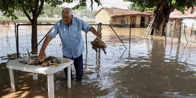 A man holds drowned poultry near his house at Magoula village, near Karditsa town, Saturday, Sept. 19, 2020.