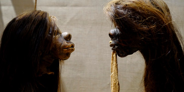 The museum removed the remains and heads over concerns they reinforced