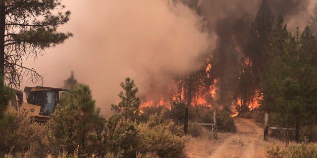 Wildfires in Oregon have burned across approximately 1 million acres of land.