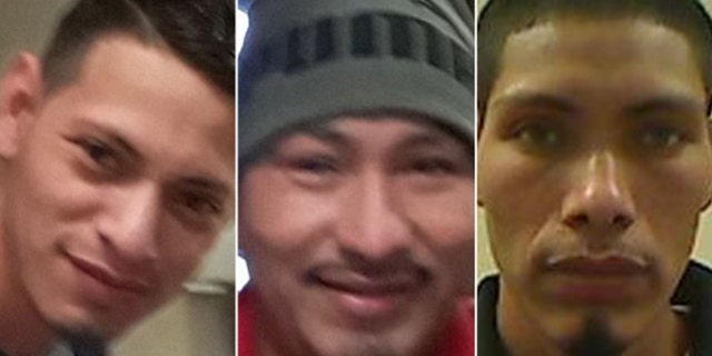 Elder Paz-Perez, Raul Paz-Perez, Wilmer Paz-Perez