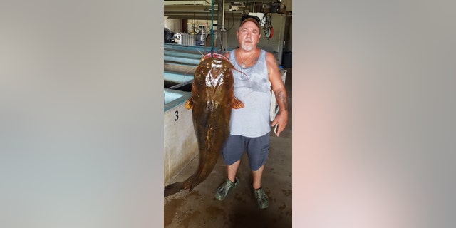 Florida fisherman hooks state record with 70-pound catfish: 'I was in