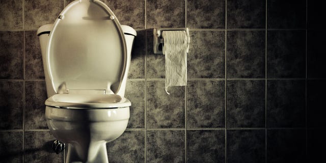 The Lagunasia theme park in the Aichi Prefecture has installed a haunted toilet.