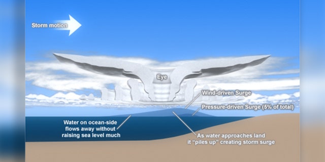 Wind and pressure components of hurricane storm surge