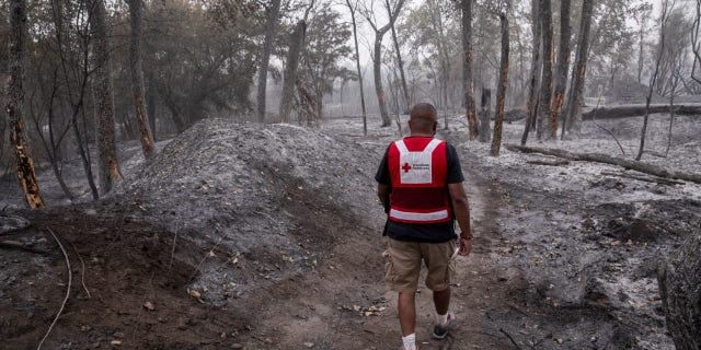 The Red Cross has mobilized massive relief efforts across California, Oregon and Washington, and has been working 24/7 to ensure that people have a safe place to stay, food and comfort during this time of uncertainty.