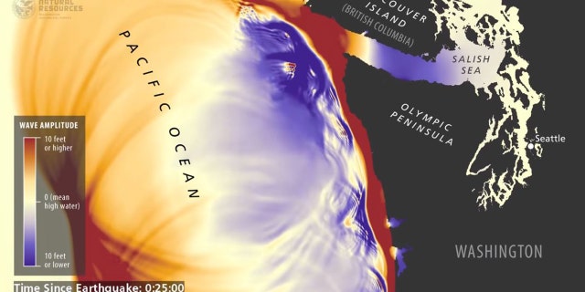 A recent simulation shows the potential impacts of a tsunami generated by a large earthquake off the coast of Washington state.