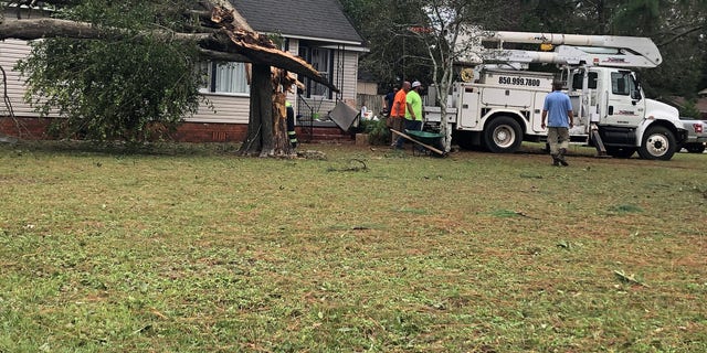 Crews prepare to remove a large tree that fell on Todd Caroline's roof after strong winds from Hurricane Sally split it in three parts. (Fox News/ Charles Watson)
