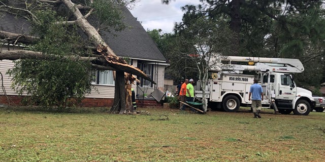 After strong winds from Storm Sally, the crew split it into three parts to remove a large tree that fell on the roof of Tod Caroline. (Fox News / Charles Watson)
