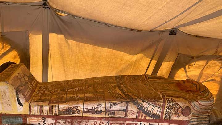 Archaeology team in Egypt find lion mummy at famed pyramid site