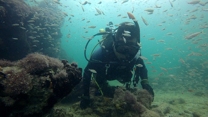 1,500-year-old mask of Maya ruler found