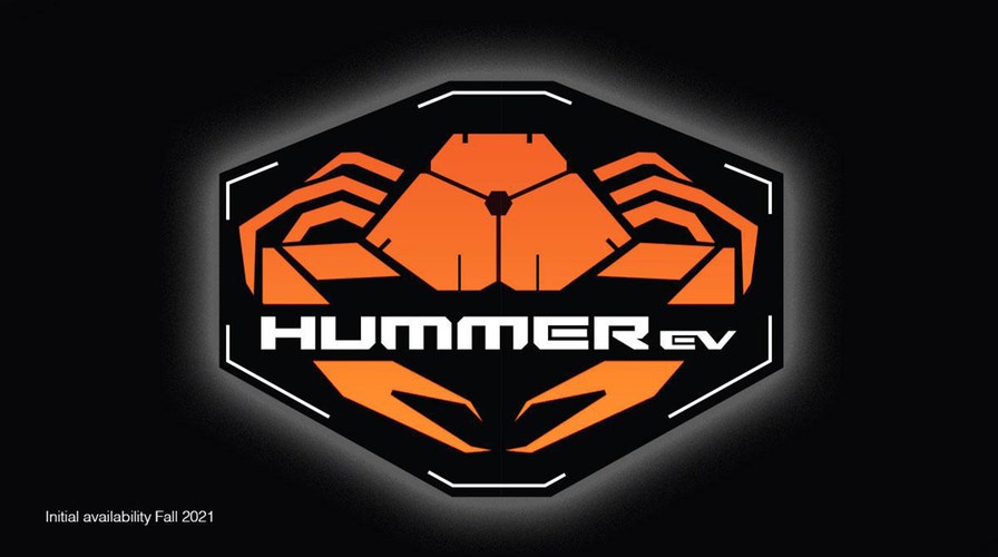 Amazon.com: Hummer H2 Block Logo Unisex Adult Long-Sleeve T Shirt for Men  and Women, Small Black : Clothing, Shoes & Jewelry